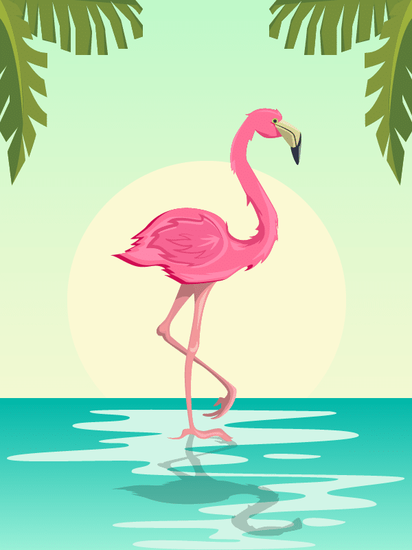 Custom Illustrations