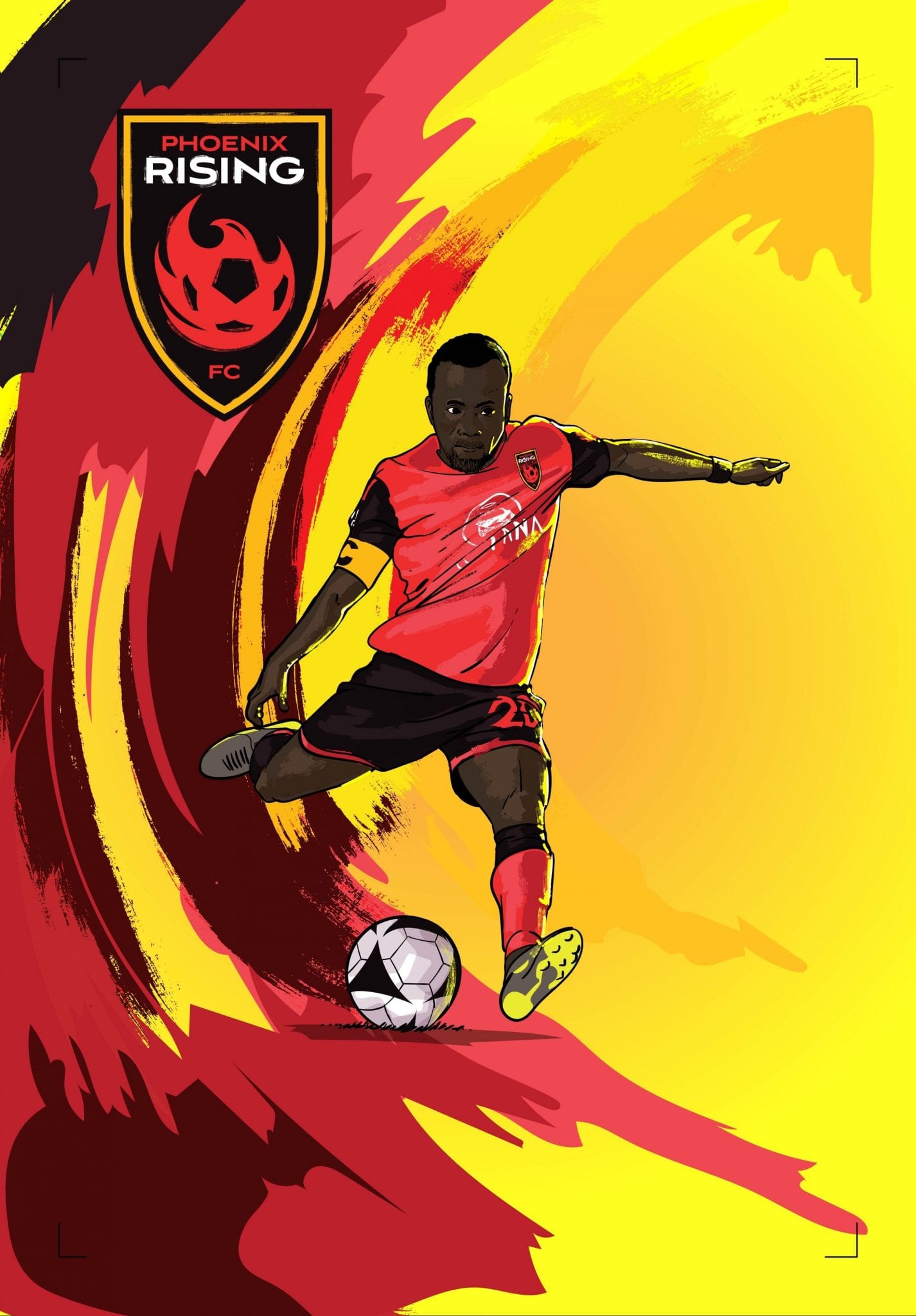 Custom Illustrations