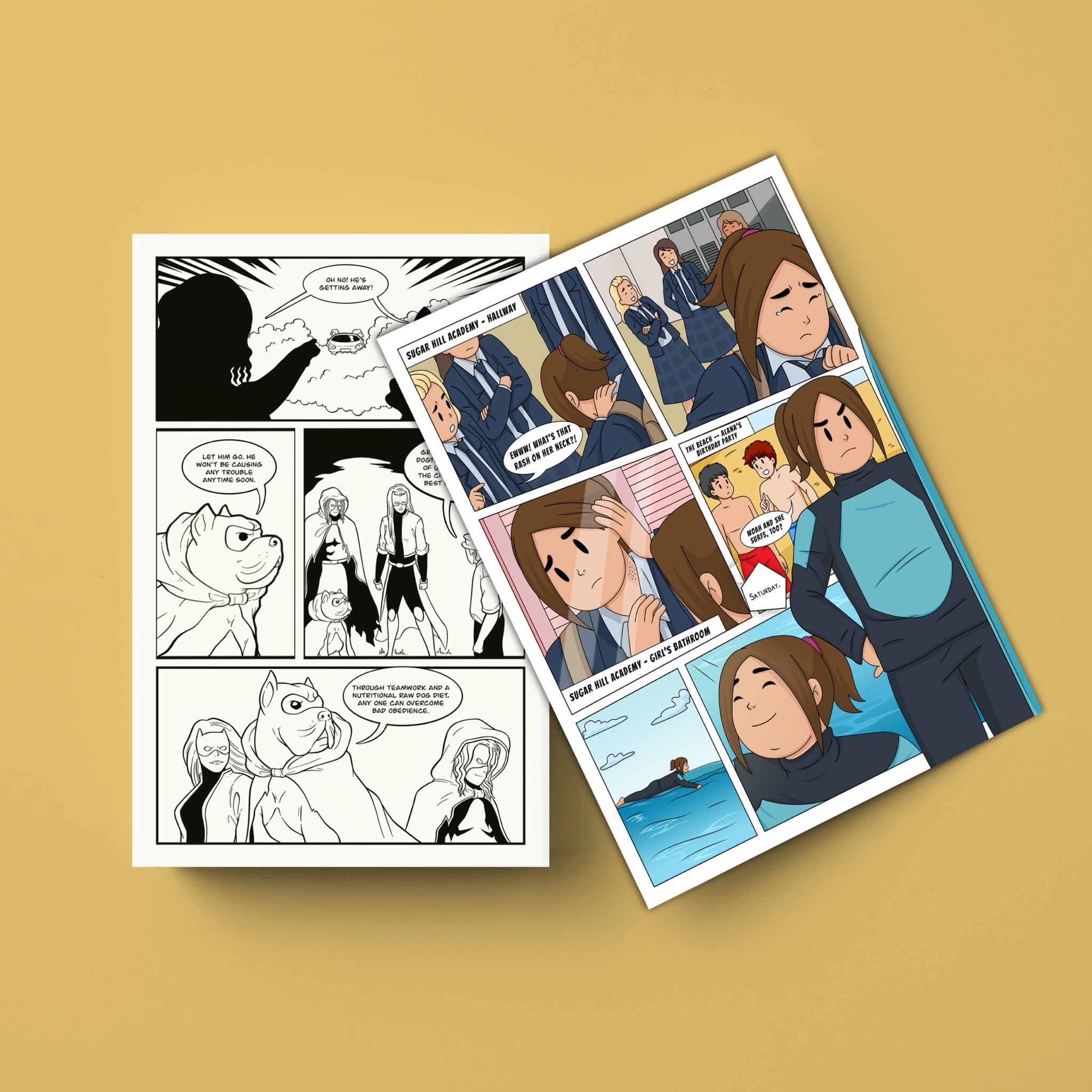 BOOK ILLUSTRATIONS