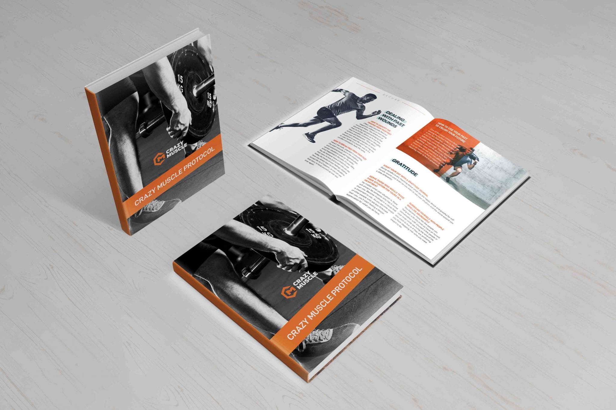 BOOK ILLUSTRATIONS